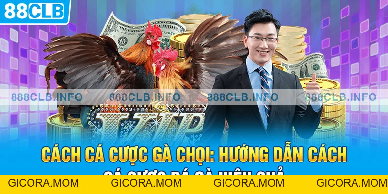 Cách Cá Cược Gà Chọi: Hướng Dẫn Cách Cá Cược Đá Gà Hiệu Quả - GICORA.MOM
