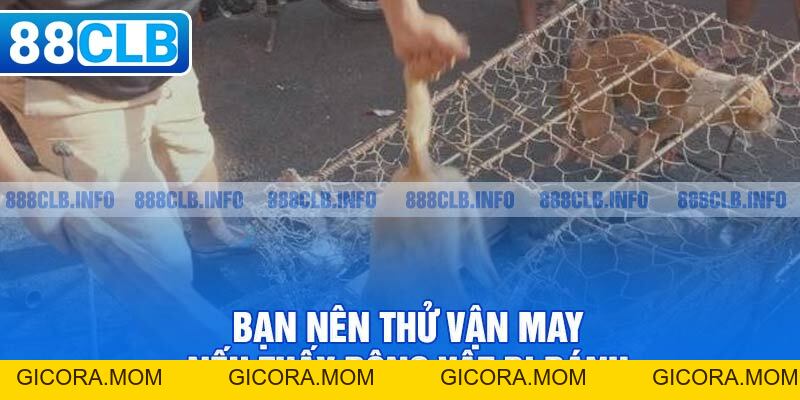 Nằm Mơ Thấy Đánh Nhau Đánh Đề Số Mấy - Giải Đáp Chi Tiết - GICORA.MOM