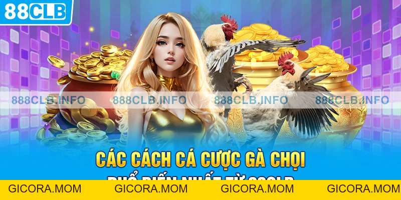 Cách Cá Cược Gà Chọi: Hướng Dẫn Cách Cá Cược Đá Gà Hiệu Quả - GICORA.MOM