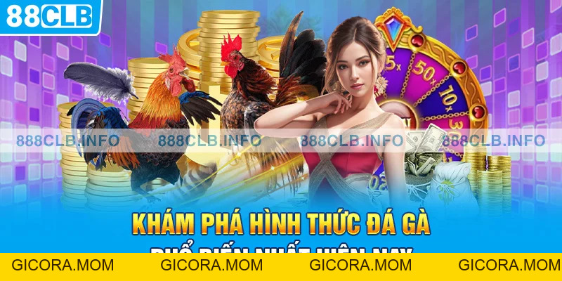 Cách Cá Cược Gà Chọi: Hướng Dẫn Cách Cá Cược Đá Gà Hiệu Quả - GICORA.MOM