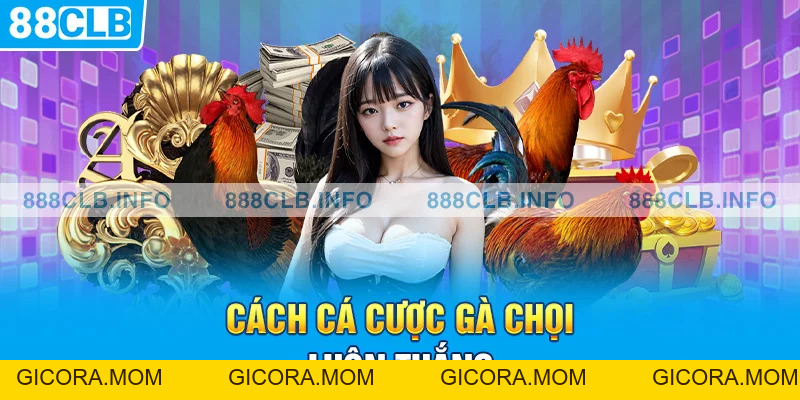 Cách Cá Cược Gà Chọi: Hướng Dẫn Cách Cá Cược Đá Gà Hiệu Quả - GICORA.MOM