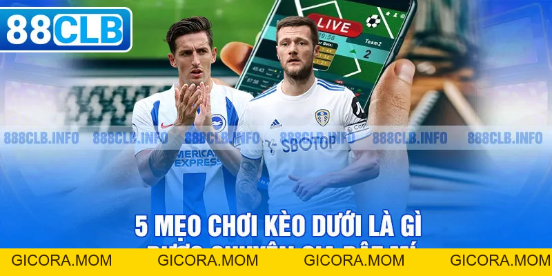 Kèo Dưới Là Gì? 5 Cách Đặt Cao Thủ Không Muốn Bạn Biết - GICORA.MOM