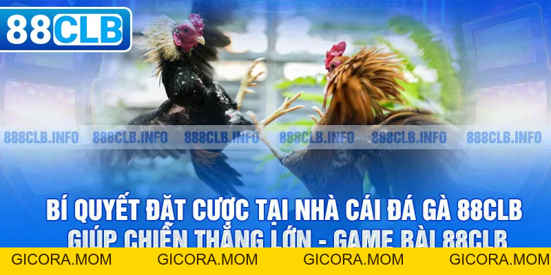 Đá gà 88CLB - Đẳng Cấp Tạo Nên Thương Hiệu Danh Giá - GICORA.MOM