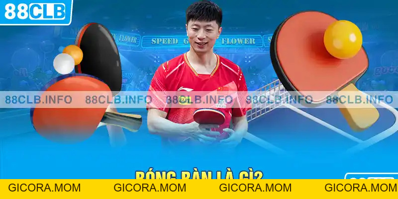 Cá Cược Bóng Bàn Là Gì? 88CLB Bật Mí Kinh Nghiệm Chơi - GICORA.MOM
