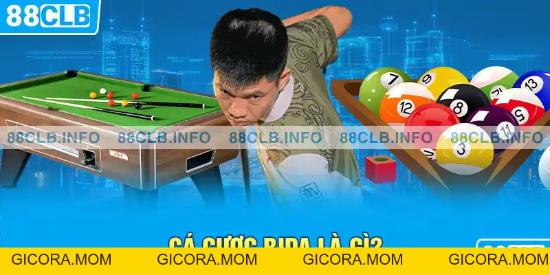Cá Cược Bida - Hướng Dẫn Kinh Nghiệm Chơi Hay Nhất - GICORA.MOM