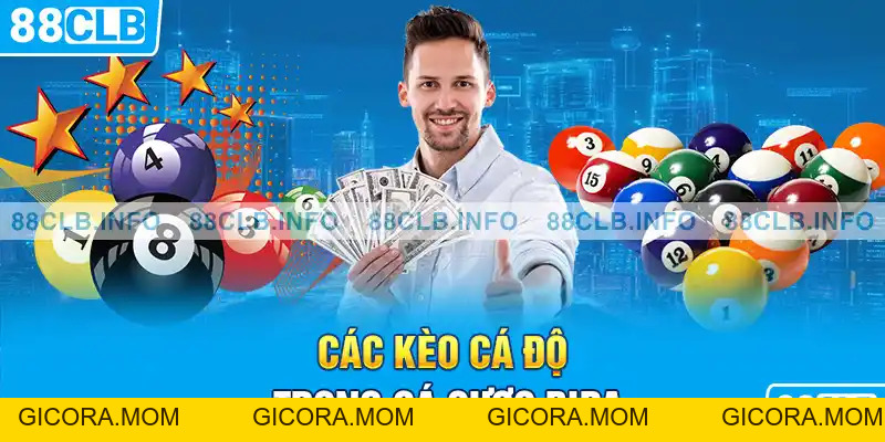 Cá Cược Bida - Hướng Dẫn Kinh Nghiệm Chơi Hay Nhất - GICORA.MOM
