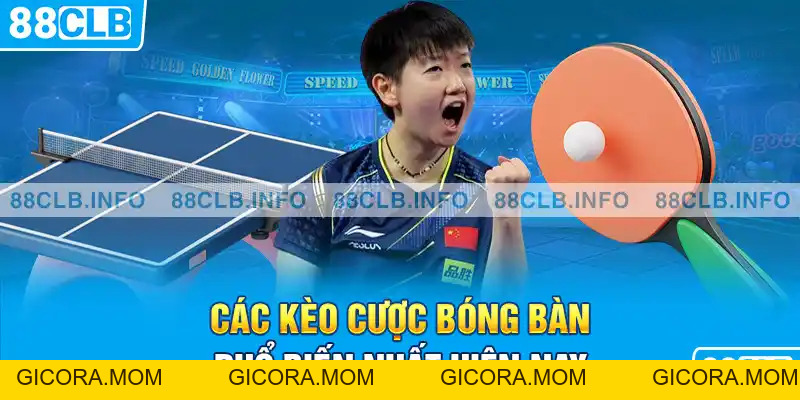 Cá Cược Bóng Bàn Là Gì? 88CLB Bật Mí Kinh Nghiệm Chơi - GICORA.MOM