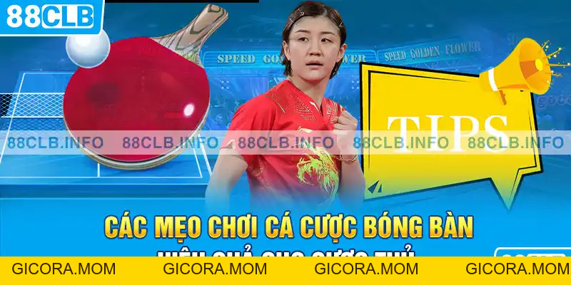 Cá Cược Bóng Bàn Là Gì? 88CLB Bật Mí Kinh Nghiệm Chơi - GICORA.MOM