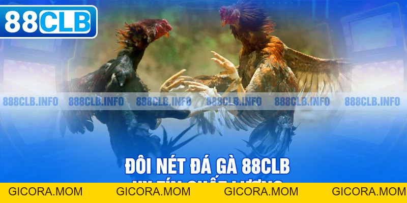 Đá gà 88CLB - Đẳng Cấp Tạo Nên Thương Hiệu Danh Giá - GICORA.MOM