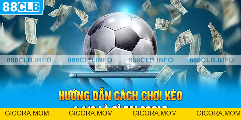 Kèo 1 1/2 Là Gì? - Bật Mí Mọi Thông Tin Chi Tiết Nhất - GICORA.MOM