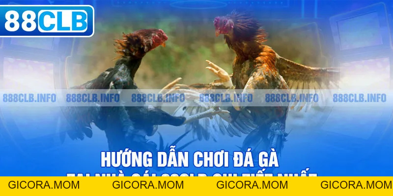 Đá gà 88CLB - Đẳng Cấp Tạo Nên Thương Hiệu Danh Giá - GICORA.MOM
