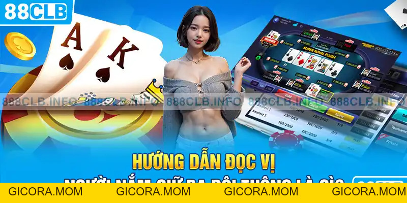 Ba Đôi Thông Là Gì? Kinh Nghiệm Đọc Vị Chuẩn Xác Nhất 2026 - GICORA.MOM