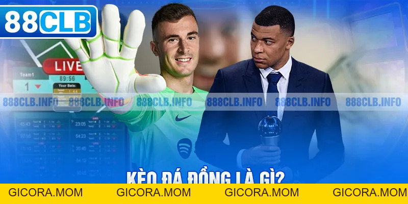 Kèo Đá Đồng Là Gì - Khám Phá Bí Mật Cá Cược Kèo Bóng Đá - GICORA.MOM