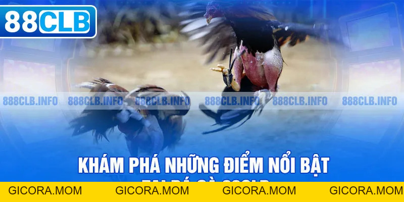 Đá gà 88CLB - Đẳng Cấp Tạo Nên Thương Hiệu Danh Giá - GICORA.MOM
