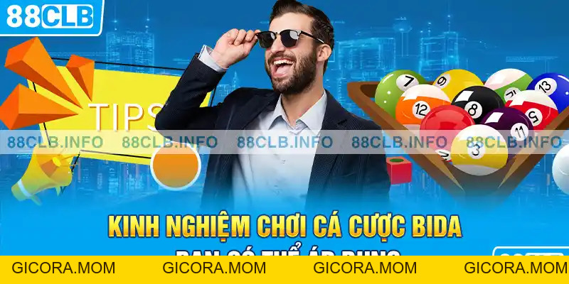 Cá Cược Bida - Hướng Dẫn Kinh Nghiệm Chơi Hay Nhất - GICORA.MOM