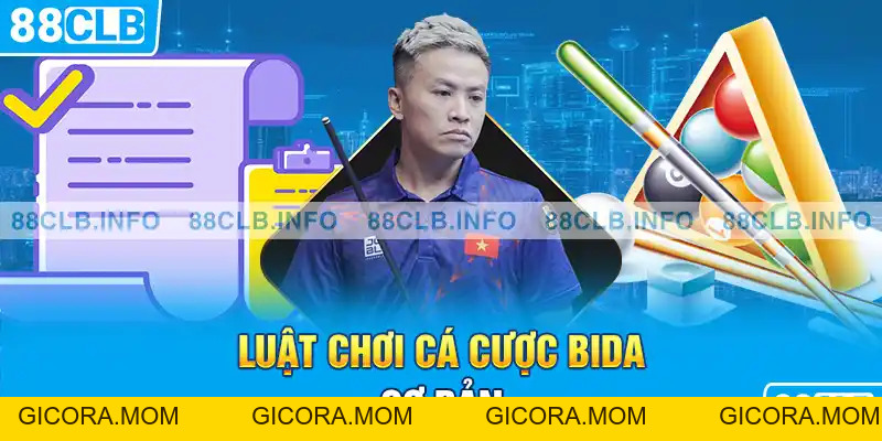 Cá Cược Bida - Hướng Dẫn Kinh Nghiệm Chơi Hay Nhất - GICORA.MOM