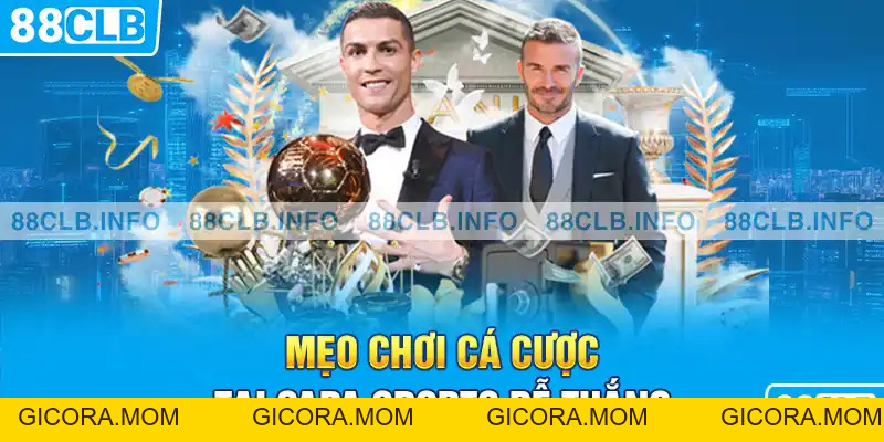 Sapa Sports Là Gì - Thông Tin Chi Tiết Về Sảnh Cá Cược - GICORA.MOM