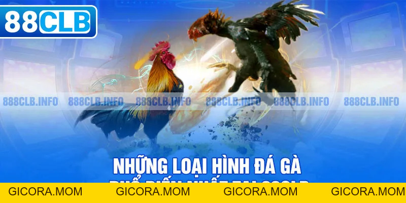 Đá gà 88CLB - Đẳng Cấp Tạo Nên Thương Hiệu Danh Giá - GICORA.MOM