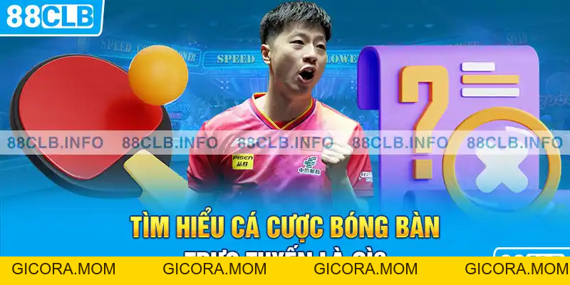Cá Cược Bóng Bàn Là Gì? 88CLB Bật Mí Kinh Nghiệm Chơi - GICORA.MOM