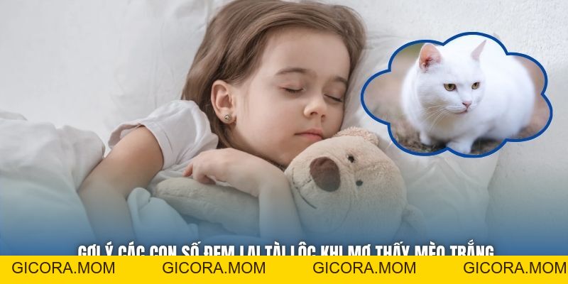 Mơ Thấy Mèo Trắng Có Ý Nghĩa Gì, Nên Đánh Cặp Lô Nào? - GICORA.MOM