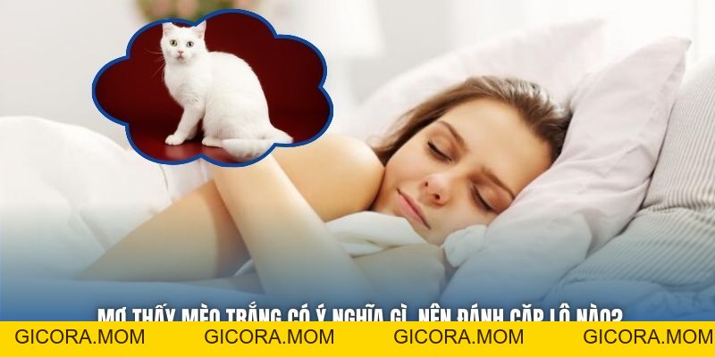 Mơ Thấy Mèo Trắng Có Ý Nghĩa Gì, Nên Đánh Cặp Lô Nào? - GICORA.MOM