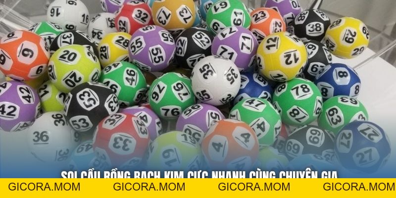 Soi Cầu Rồng Bạch Kim - Lựa Chọn Hoàn Hảo Cho Newbies - GICORA.MOM