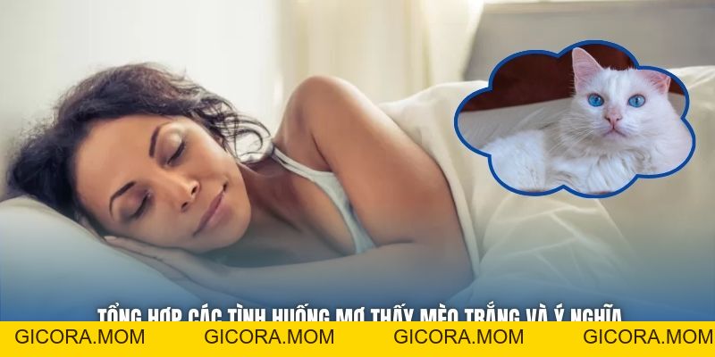 Mơ Thấy Mèo Trắng Có Ý Nghĩa Gì, Nên Đánh Cặp Lô Nào? - GICORA.MOM