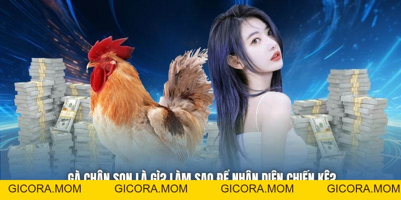 Gà Chân Son Là Gì - Tất Tật Tật Thông Tin Về Giống Kê Quý - GICORA.MOM