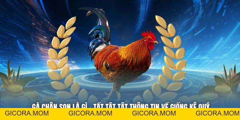 Gà Chân Son Là Gì - Tất Tật Tật Thông Tin Về Giống Kê Quý - GICORA.MOM