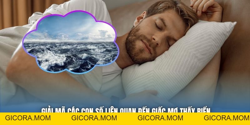Mơ Thấy Biển - Có Phải Điềm May Đang Chờ Đón Mọi Người? - GICORA.MOM