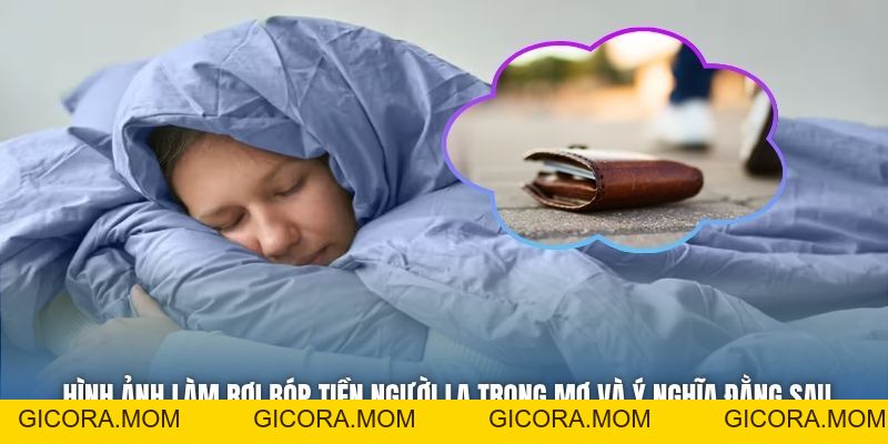 Mơ Thấy Làm Rơi Ví Tiền - Điều Gì Sắp Đến Trong Tương Lai? - GICORA.MOM
