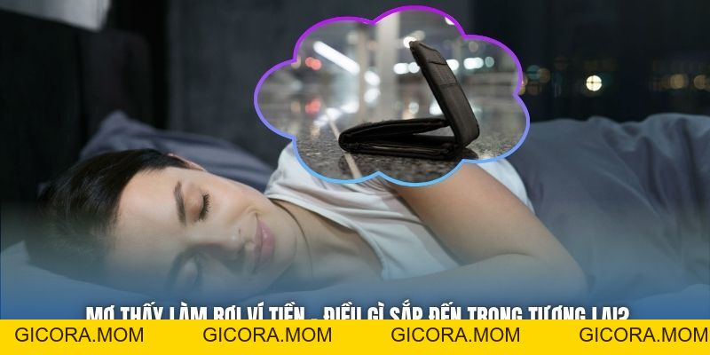 Mơ Thấy Làm Rơi Ví Tiền - Điều Gì Sắp Đến Trong Tương Lai? - GICORA.MOM