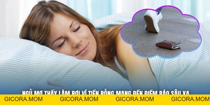 Mơ Thấy Làm Rơi Ví Tiền - Điều Gì Sắp Đến Trong Tương Lai? - GICORA.MOM