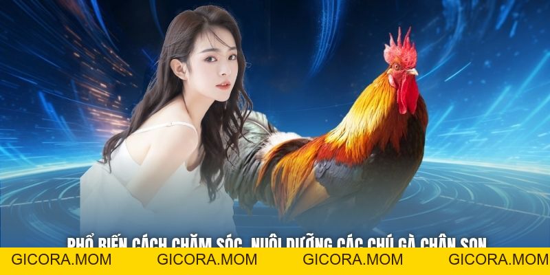 Gà Chân Son Là Gì - Tất Tật Tật Thông Tin Về Giống Kê Quý - GICORA.MOM