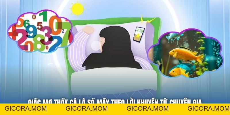 Giấc Mơ Thấy Cá Là Số Mấy Liệu Bạn Đã Biết Đáp Án Hay Chưa? - GICORA.MOM