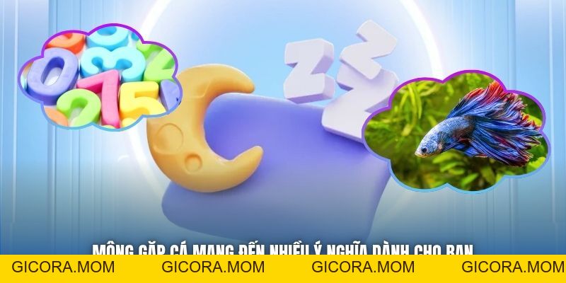Giấc Mơ Thấy Cá Là Số Mấy Liệu Bạn Đã Biết Đáp Án Hay Chưa? - GICORA.MOM