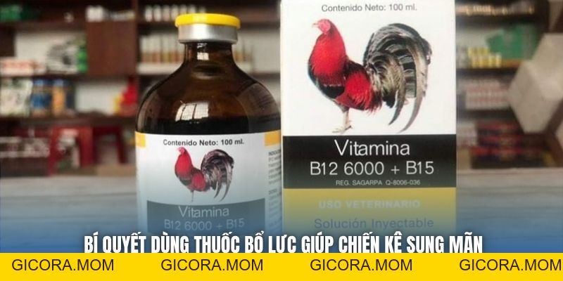Thuốc Bổ Trợ Lực Cho Gà Đá - Bí Quyết Khỏe Mạnh, Sung Mãn - GICORA.MOM