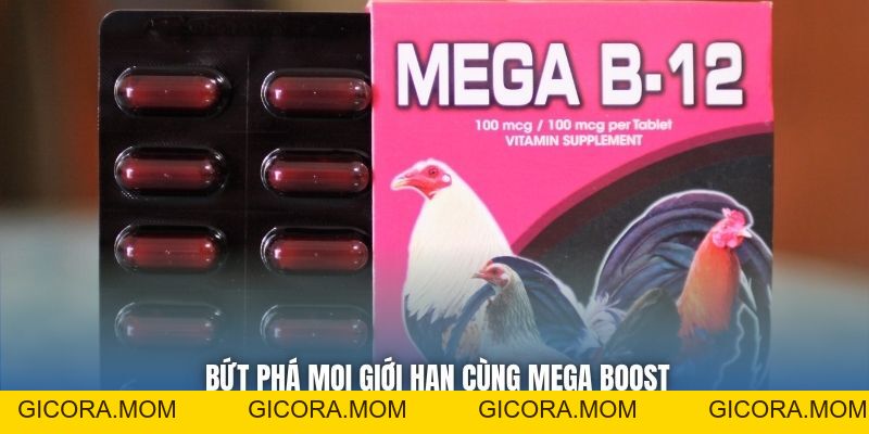 Thuốc Bổ Trợ Lực Cho Gà Đá - Bí Quyết Khỏe Mạnh, Sung Mãn - GICORA.MOM