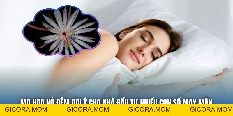 Mơ Thấy Hoa Nở Giữa Đêm | Khi Vũ Trụ Gửi Tín Hiệu May Mắn - GICORA.MOM