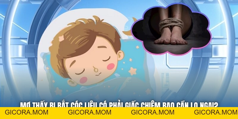 Mơ Thấy Bị Bắt Cóc - Giải Mã Giấc Mộng Đầy Ám Ảnh - GICORA.MOM