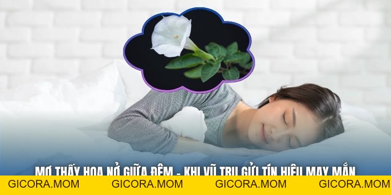 Mơ Thấy Hoa Nở Giữa Đêm | Khi Vũ Trụ Gửi Tín Hiệu May Mắn - GICORA.MOM