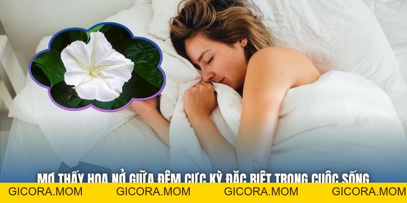 Mơ Thấy Hoa Nở Giữa Đêm | Khi Vũ Trụ Gửi Tín Hiệu May Mắn - GICORA.MOM