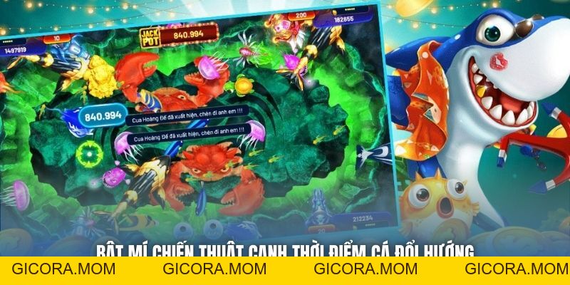 Canh Thời Điểm Cá Đổi Hướng - Bí Kíp Săn Mồi Chuẩn Xác - GICORA.MOM