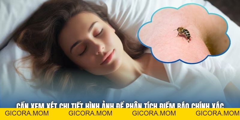 Mơ Thấy Ong Đốt Báo Hiệu Thông Điệp Gì Cho Tương Lai? - GICORA.MOM