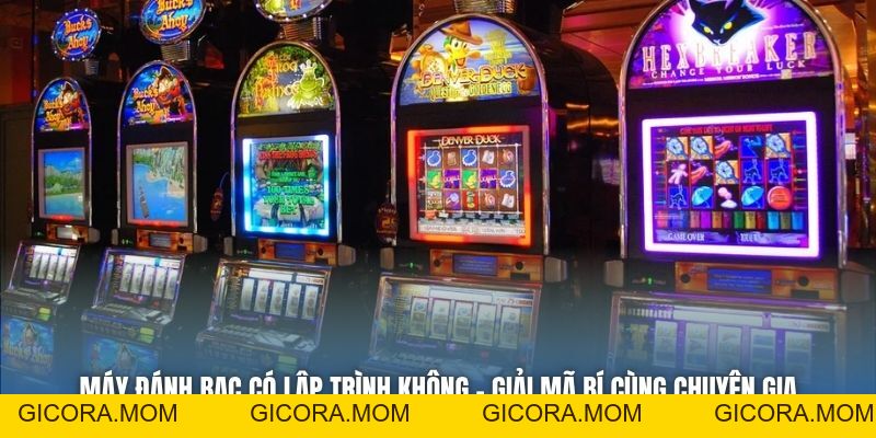 Máy Đánh Bạc Có Lập Trình Không - Giải Mã Bí Cùng Chuyên Gia - GICORA.MOM
