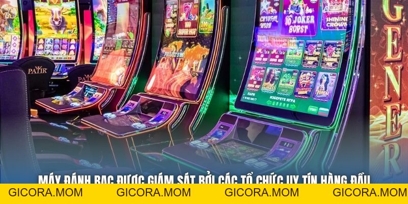 Máy Đánh Bạc Có Lập Trình Không - Giải Mã Bí Cùng Chuyên Gia - GICORA.MOM