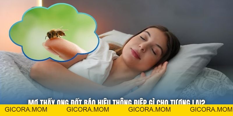 Mơ Thấy Ong Đốt Báo Hiệu Thông Điệp Gì Cho Tương Lai? - GICORA.MOM