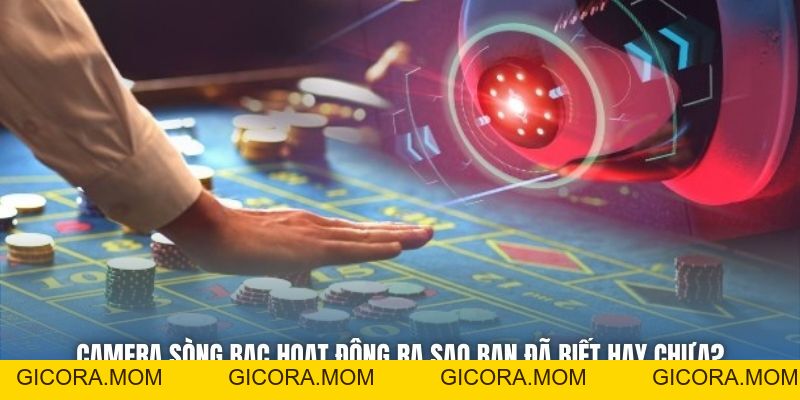 Camera Sòng Bạc Hoạt Động Ra Sao? Bí Mật Của Hệ Thống Casino - GICORA.MOM