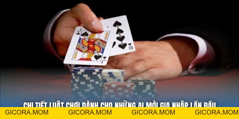 Catte Là Gì - Môn Giải Trí Dân Gian Thân Thuộc Của Bet Thủ - GICORA.MOM