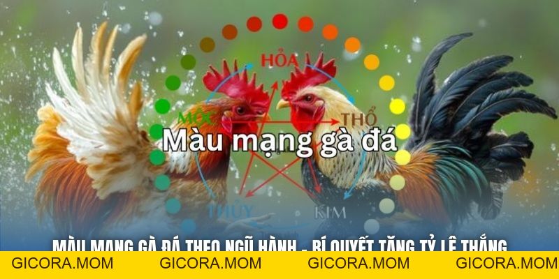 Màu Mạng Gà Đá Theo Ngũ Hành - Bí Quyết Tăng Tỷ Lệ Thắng - GICORA.MOM